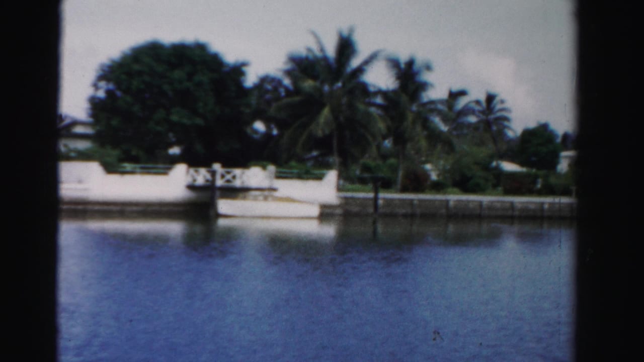 Waterfront wall and palms beside low homes across a canal.