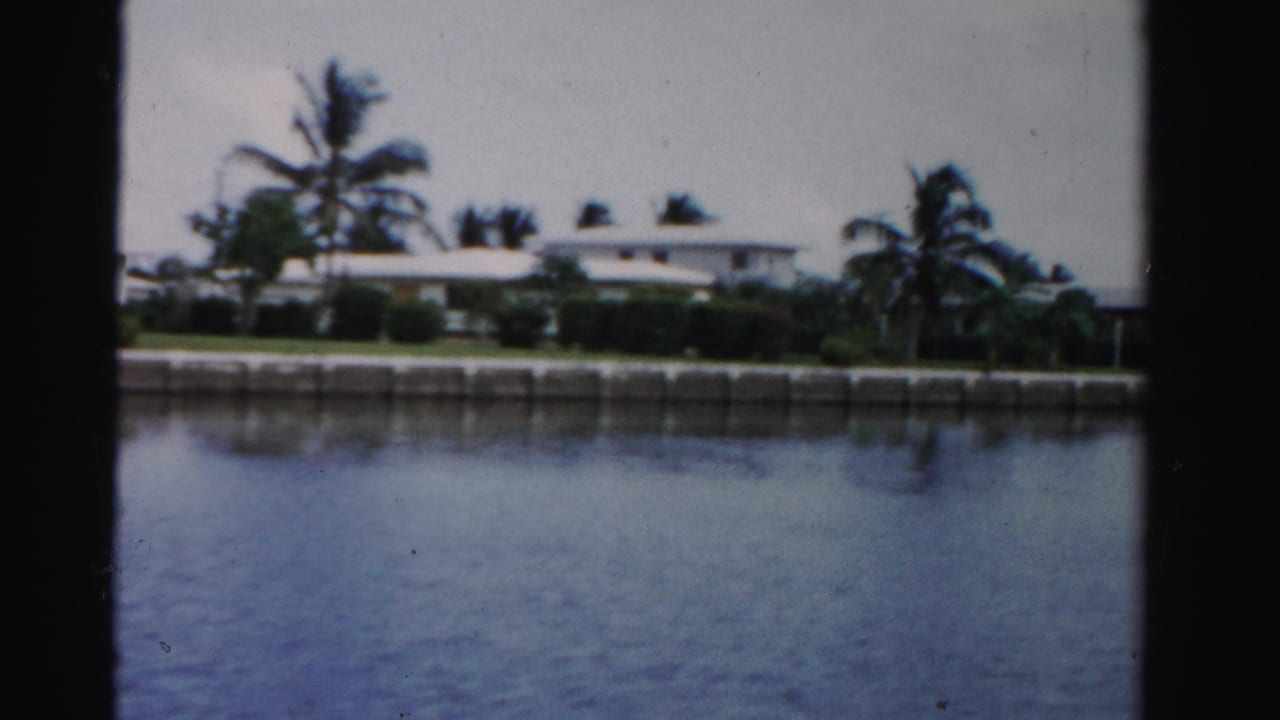1955 Dade County canal view with low white waterfront homes, palms, shrubs, and a concrete seawall across calm water.