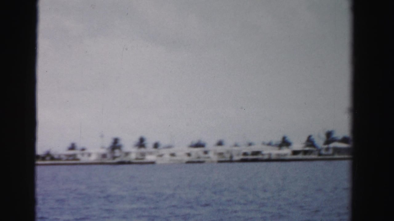 Long shoreline of low houses, palms, docks, and water under a pale sky.