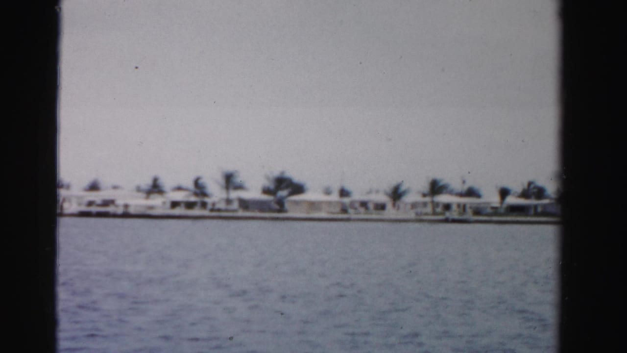 Distant white homes and palm trees along a shoreline across open water.