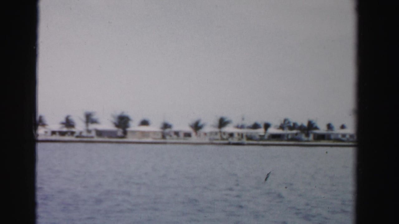 Waterfront houses and palms stretch across the far shore under a pale sky.