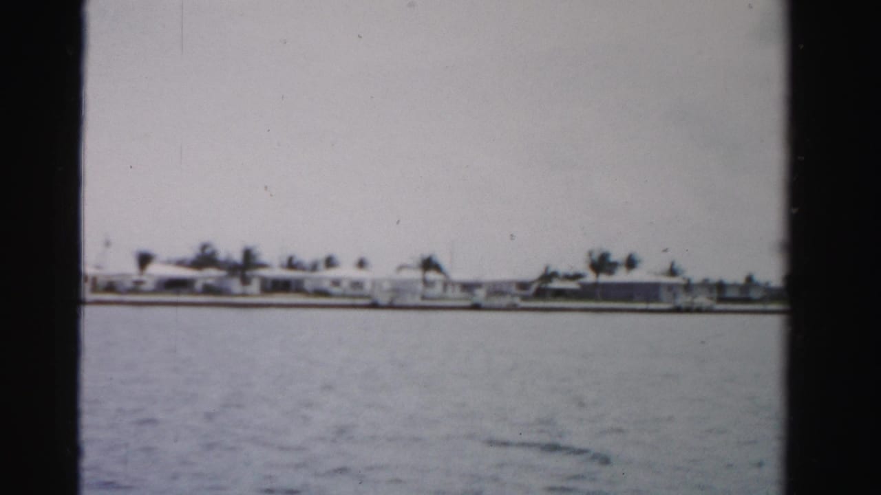 Low waterfront buildings and palm trees stretch along the far shore beyond open water.