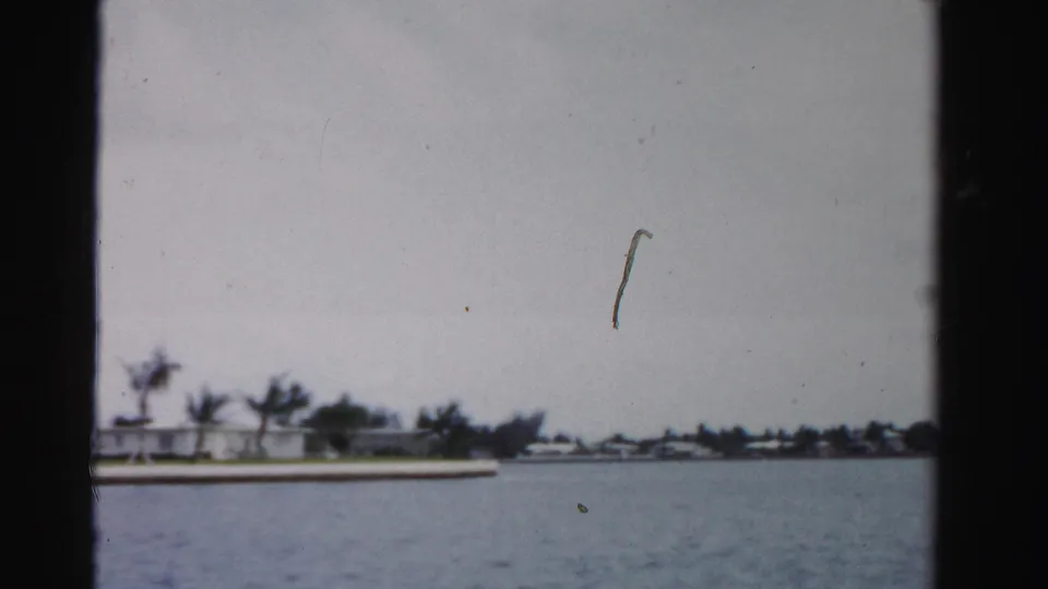 Dade County 8mm frame showing open water, a palm-lined shore, low buildings, and visible film wear in the sky.