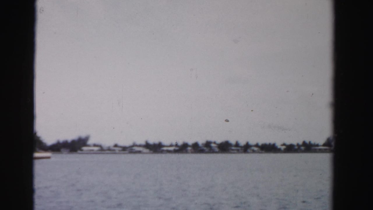 Open water with a distant palm-lined shore and houses, partially framed by dark film edges.