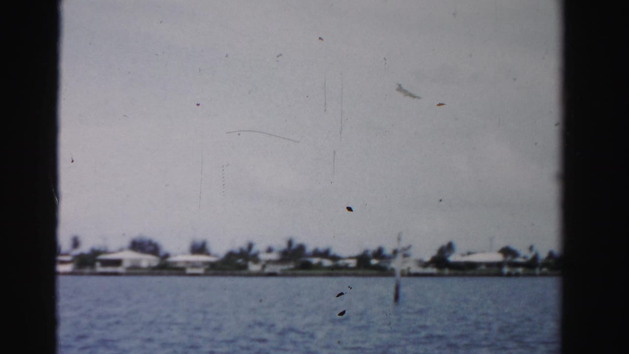Waterfront homes and trees line the far shore, with a marker post in the water.