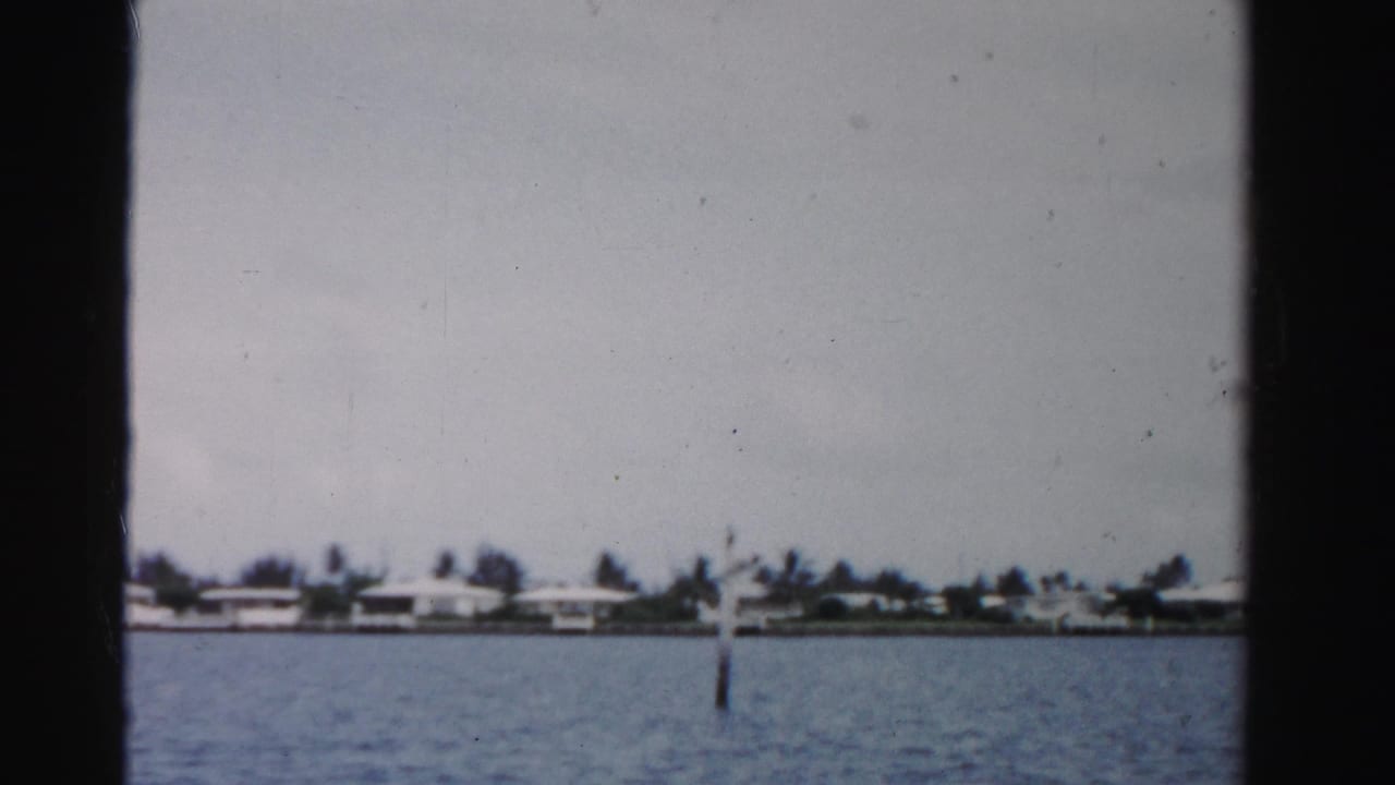 Calm waterway with distant shoreline, palm trees, low buildings, and a marker pole.