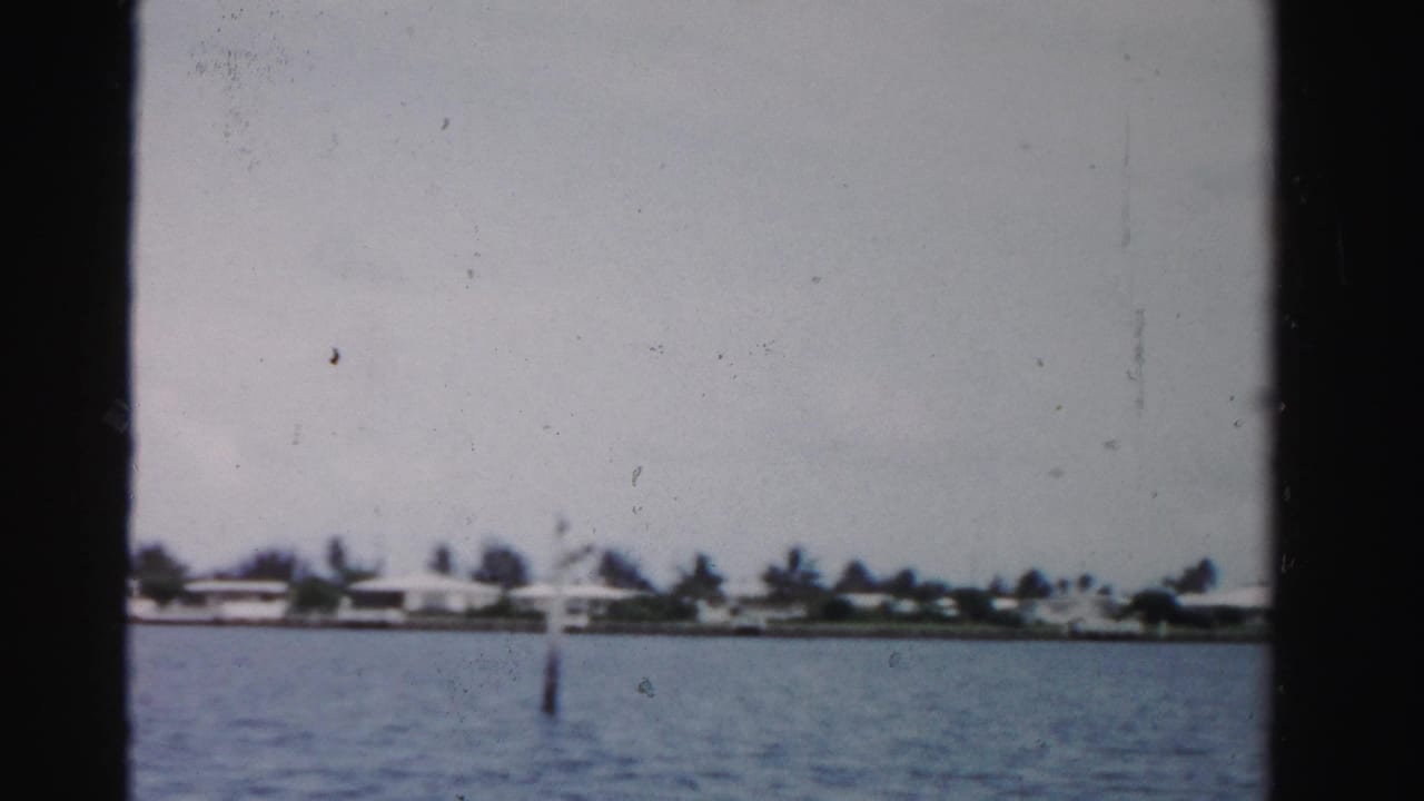 Distant waterfront homes and palm trees across calm water with a marker pole near center.