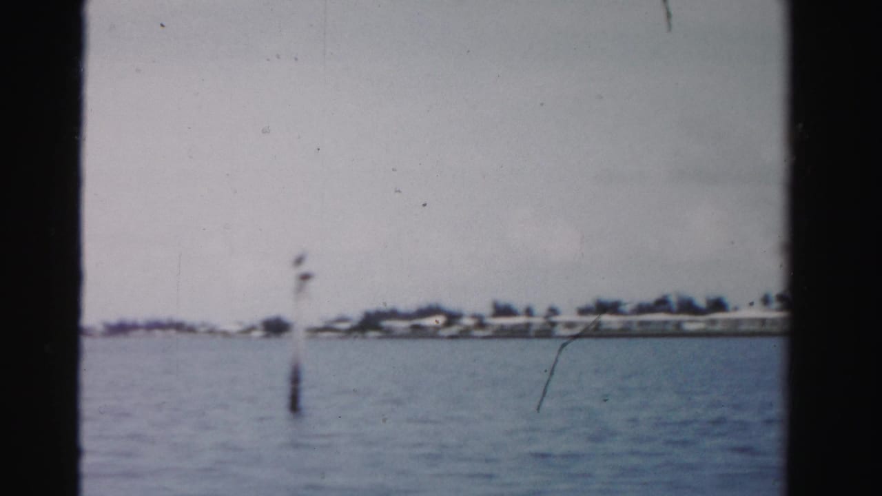Waterway with distant houses, shoreline, and a post standing in the water.