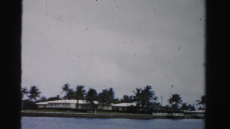 1955 Dade County waterfront with palm trees, low buildings, seawall or bank, and muted 8mm color across the water.