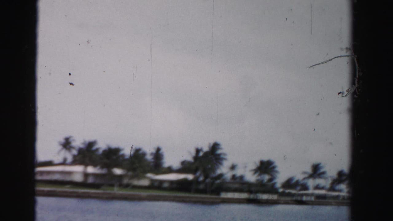 Distant waterfront houses and palm trees seen across a canal.
