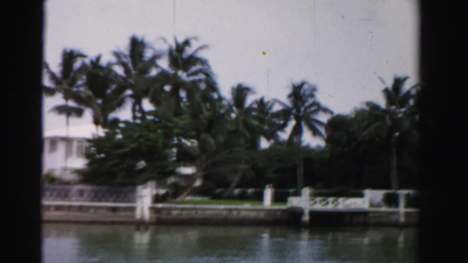 1955 Dade County frame of a palm-lined canal frontage, partial white residence, railing, dock posts, and tropical foliage.