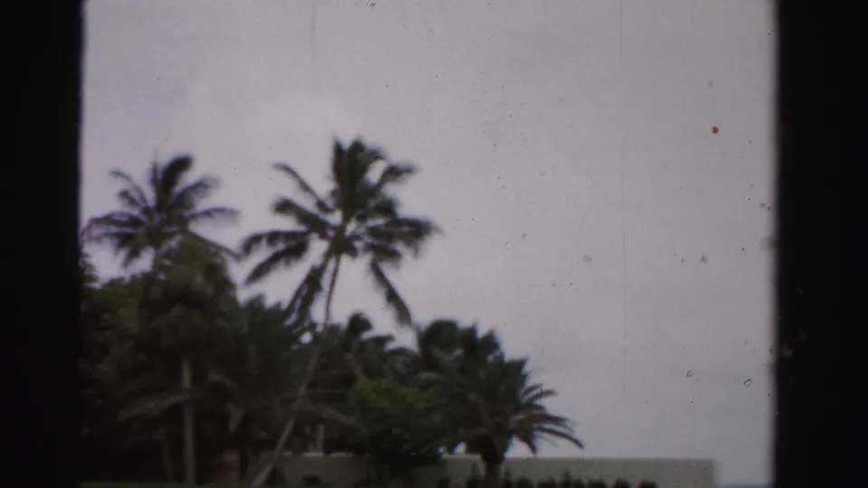 The final frame moves away from the house toward tall palms, dense foliage, pale sky, and a low light-colored boundary or structure.