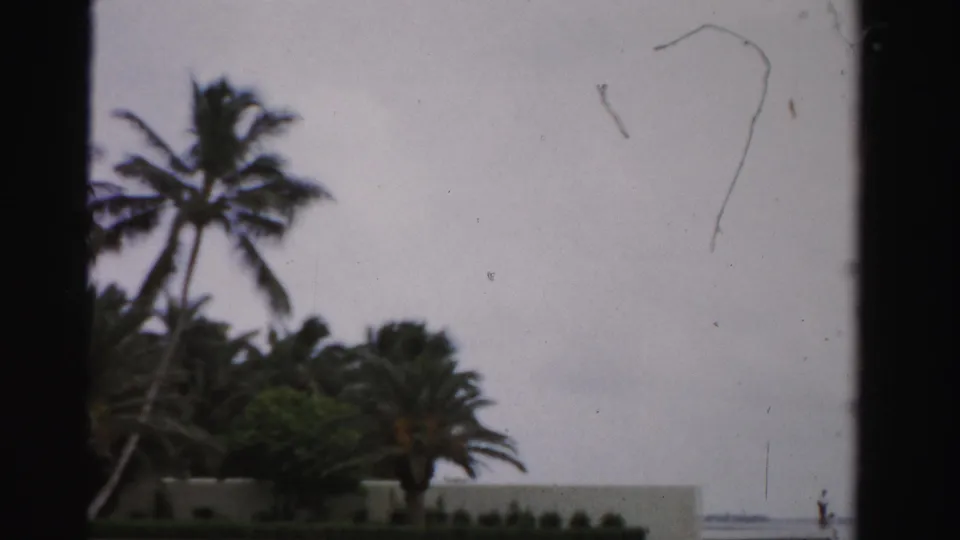1955 Dade County frame with wind-blown palms, a low wall, distant shoreline, and a small person near the water.