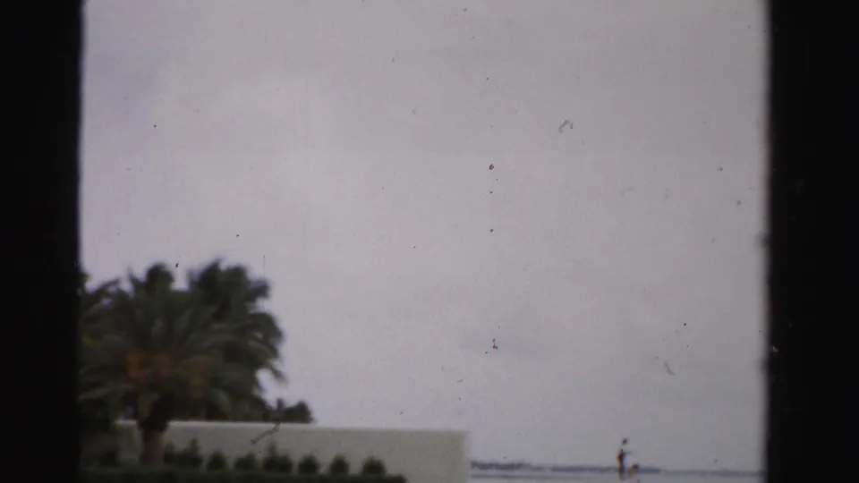 1955 Dade County frame showing a palm beside a low wall, distant water, and a small person near the shore.
