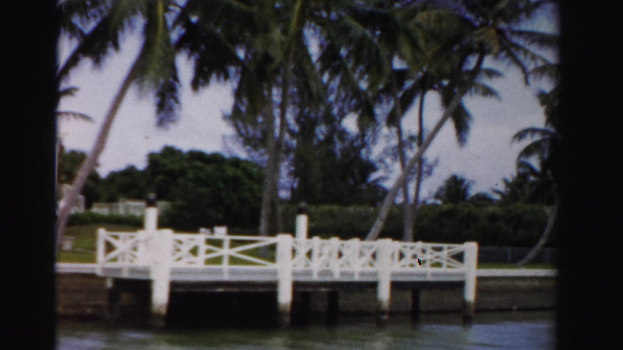 White dock railing beside canal water with palm trees and greenery behind it.