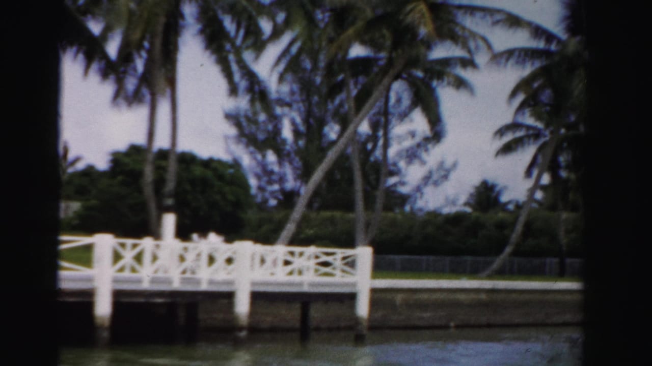 A white canal landing with decorative railings stands across the water in 1955 Dade County, framed by palms and dense greenery.