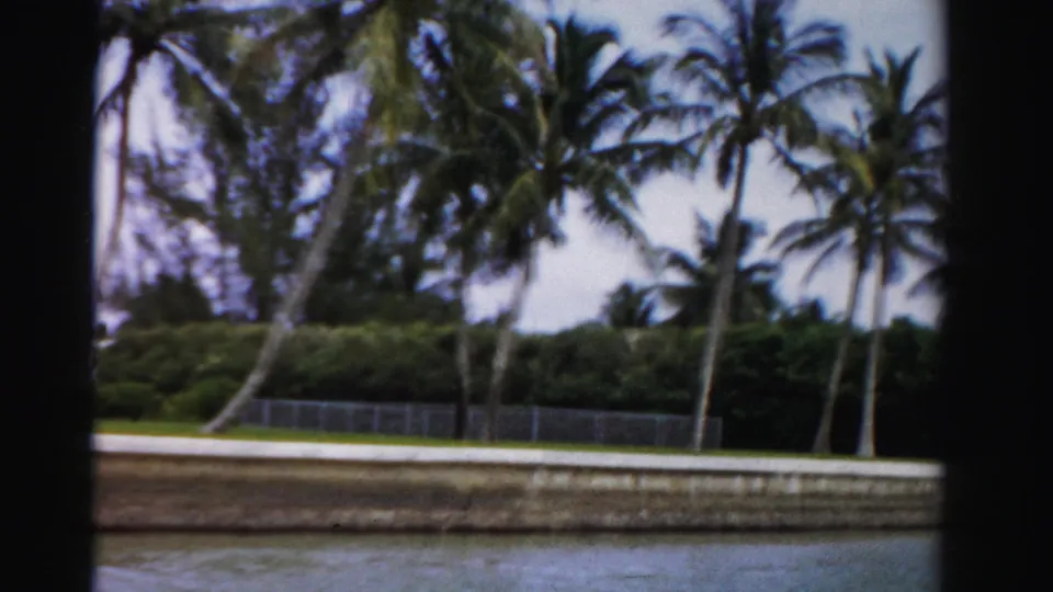 1955 Dade County 8mm frame showing canal water, a low seawall, chain-link fence, and coconut palms along the bank.