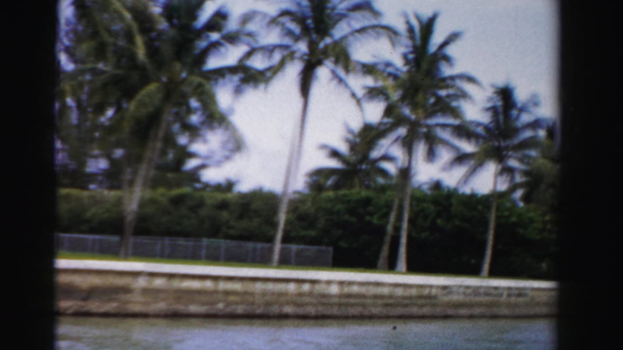 1955 Dade County waterfront view with coconut palms, a concrete canal edge, chain-link fence, and soft 8mm color.