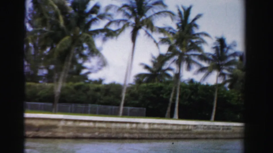 1955 Dade County waterfront view with coconut palms, a concrete canal edge, chain-link fence, and soft 8mm color.