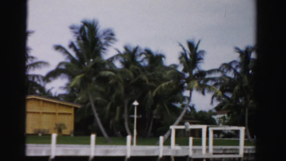 1955 Dade County waterfront scene with palms, a yellow house, white dock pilings, and a small dock structure near the canal.