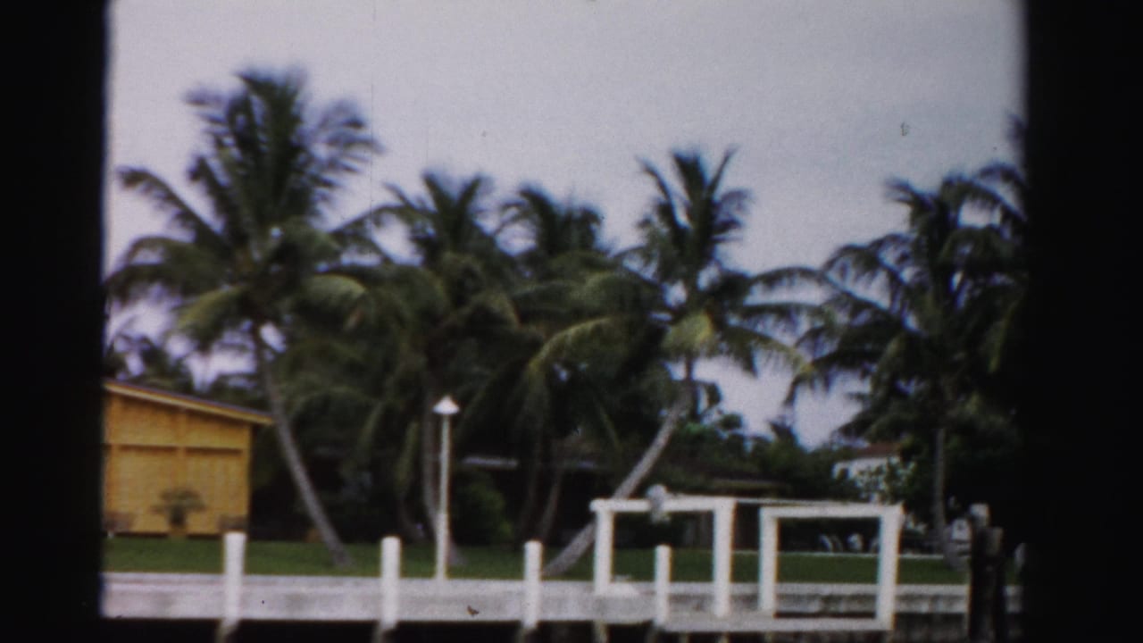 1955 Dade County waterfront view with palms, lawn, a white dock structure, and a yellow shoreline building.