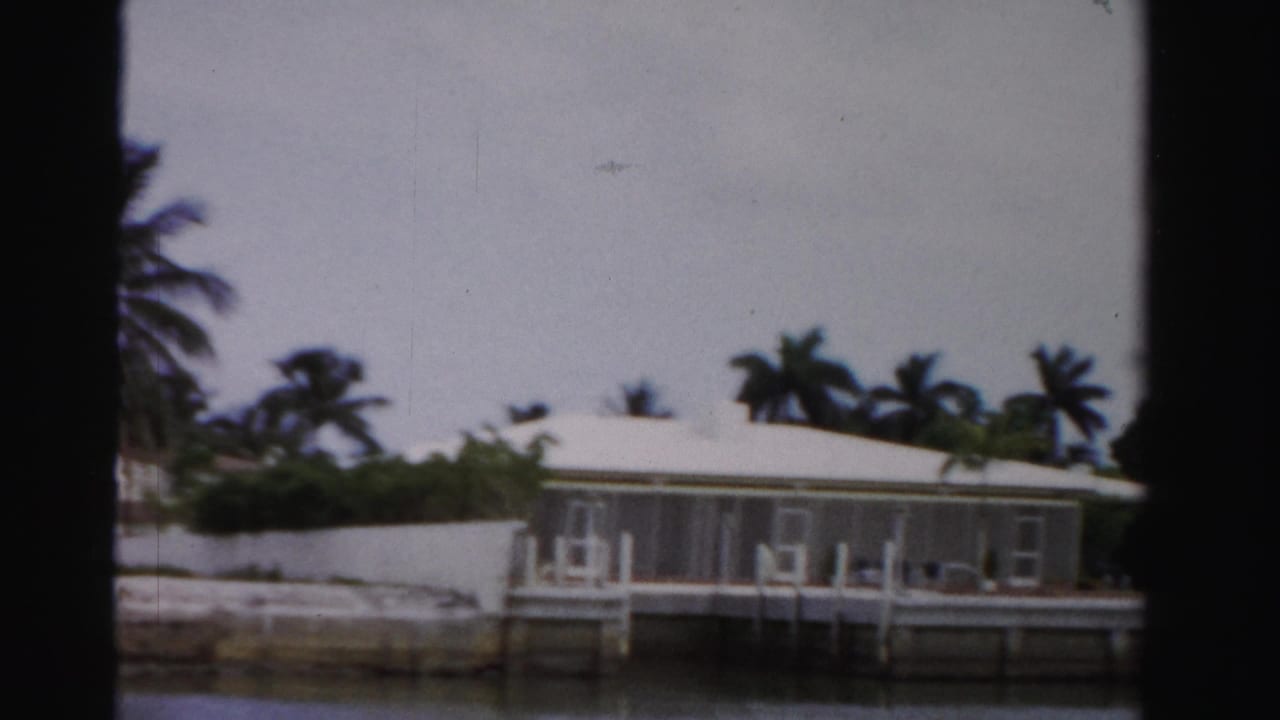 Waterfront house with screened porch, dock pilings, white wall, palm trees, and cloudy sky.