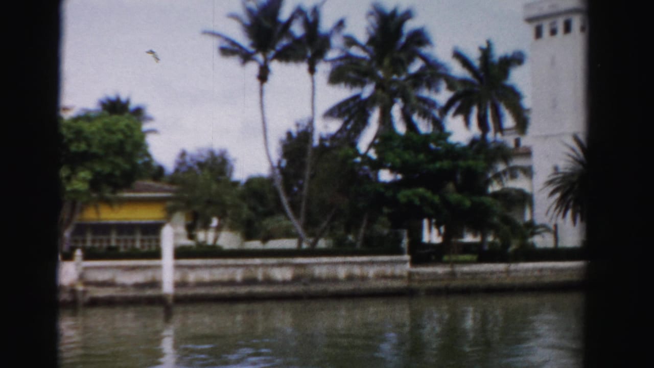 1955 Dade County waterfront property with tall palms, dense greenery, a seawall, white dock posts, and part of a larger white building.