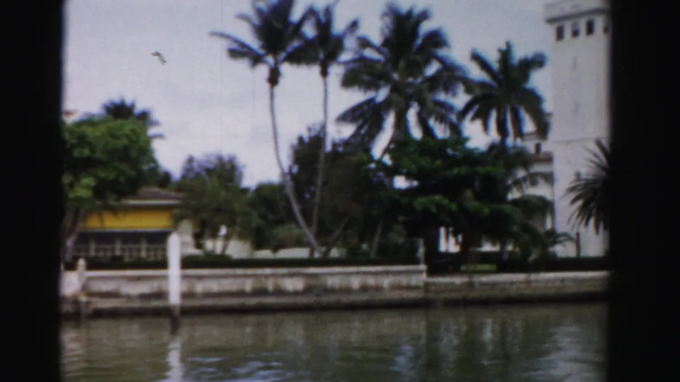 1955 Dade County waterfront property with tall palms, dense greenery, a seawall, white dock posts, and part of a larger white building.