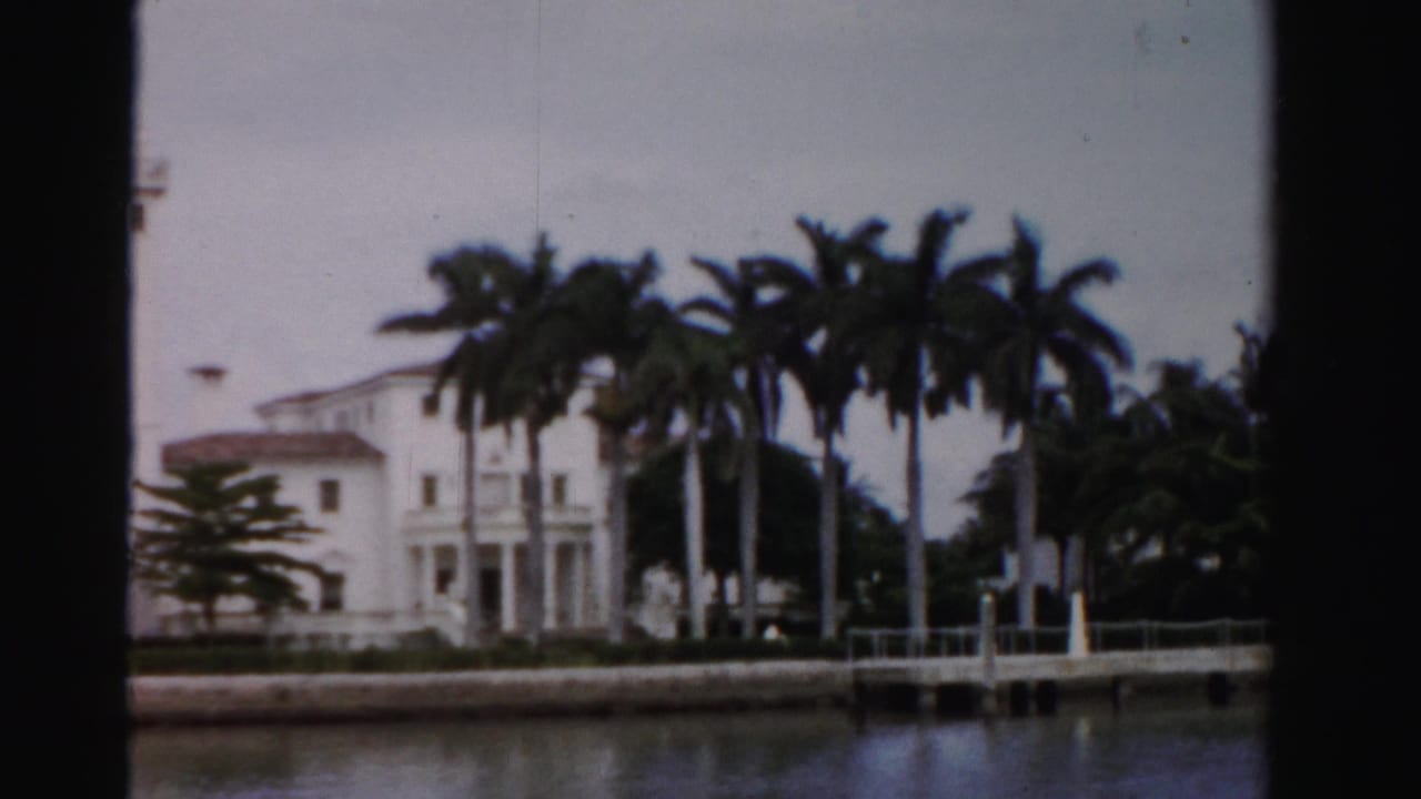 White waterfront house behind palm trees across a canal.