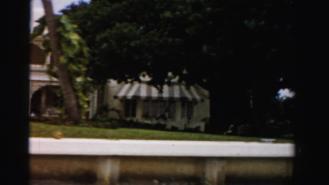 Palm-lined waterfront lawn with striped awnings, estate wall, seawall, and dark tree canopy.