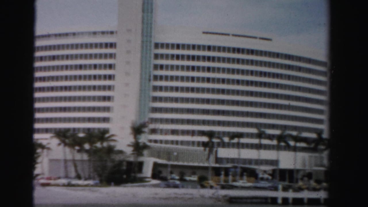 White multi-story building behind palm trees, with cars and a low road or dock edge below.