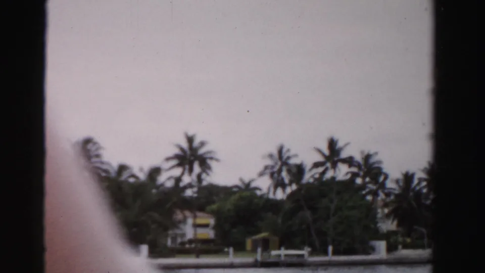 1955 Florida home-movie frame with palms, low waterfront wall, small structures, and soft foreground obstruction near the frame edge.