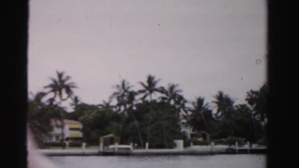 Dade County, Florida, 1955 view of palms and a low waterfront or roadside boundary, with small structures beyond and soft 8mm grain.