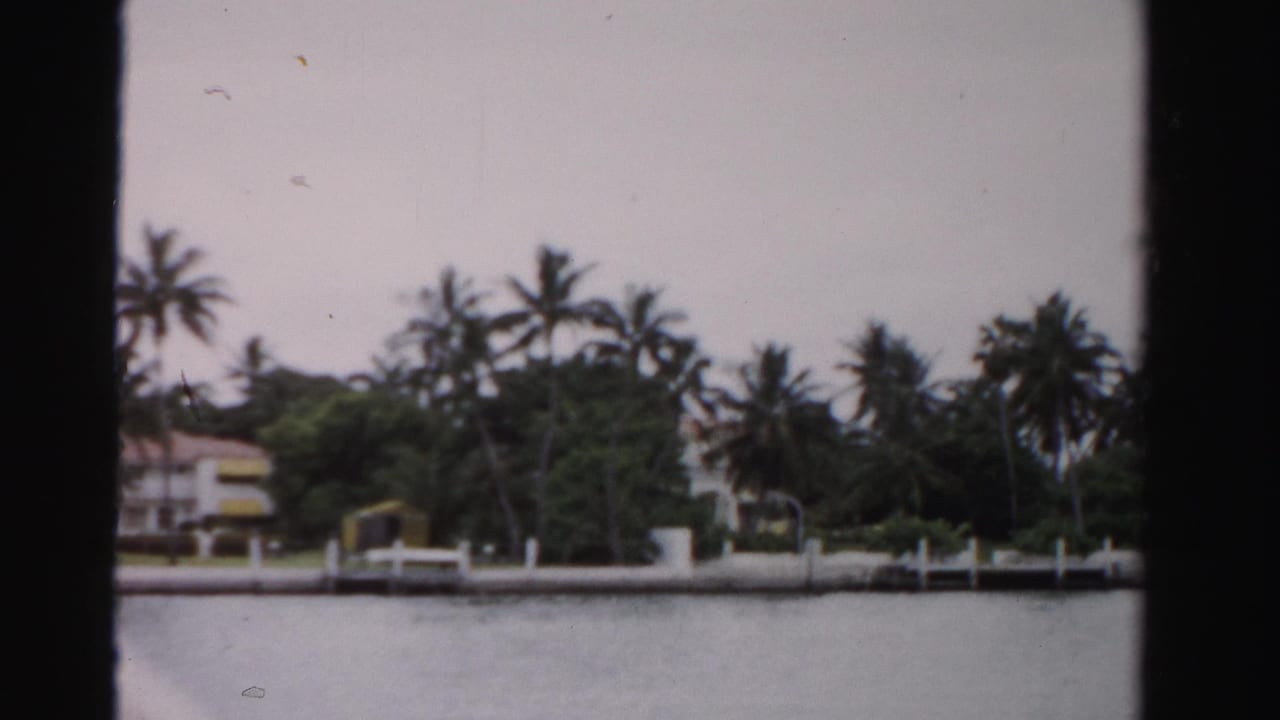 Palm-lined waterfront estates behind a white seawall across calm water.