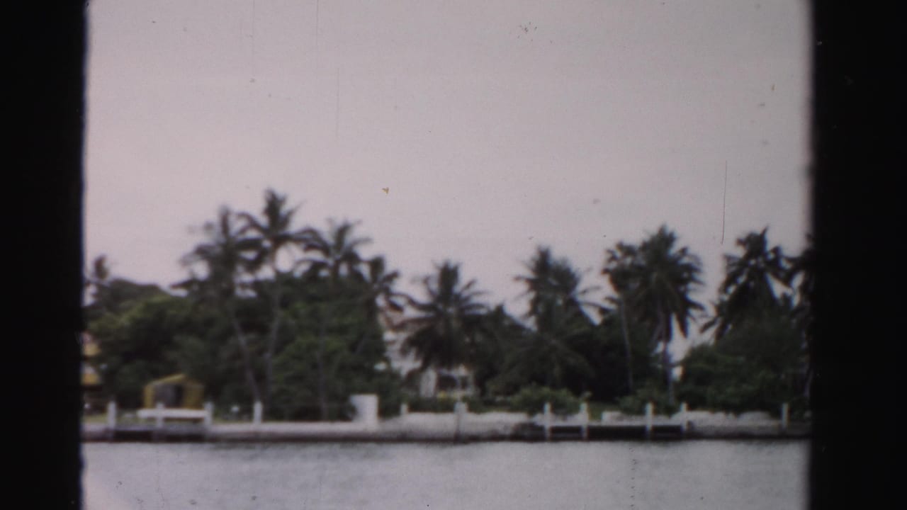 Dade County shoreline with palm trees, residential buildings, white wall sections, and small docks along calm water.