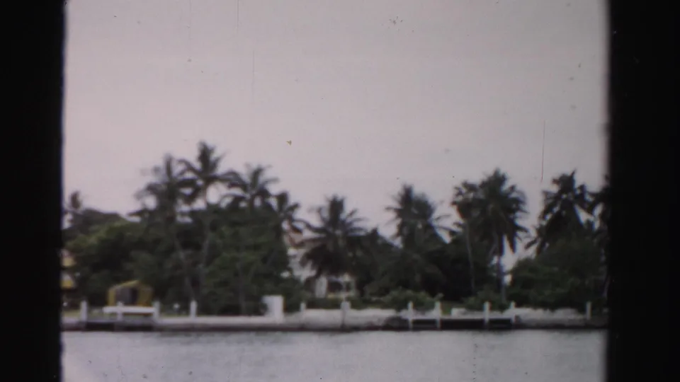 Dade County shoreline with palm trees, residential buildings, white wall sections, and small docks along calm water.