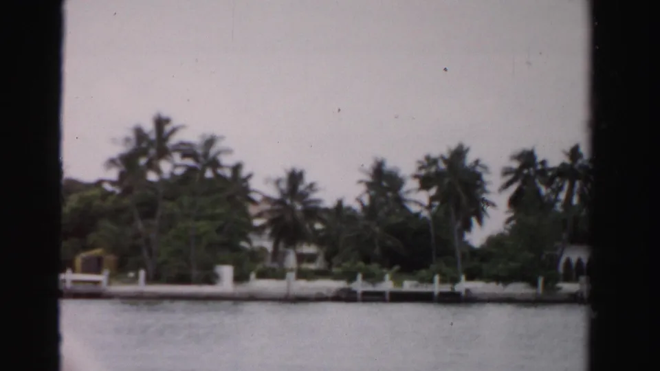 Soft 8mm frame of Dade County waterfront homes partly hidden by palms and vegetation behind docks and seawalls.