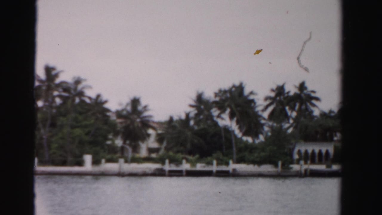 1955 Dade County waterfront view with palms, a white seawall, docks, and large homes partly screened by trees.