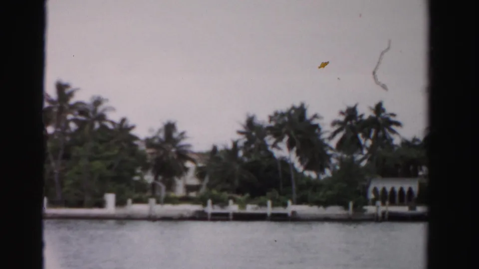 1955 Dade County waterfront view with palms, a white seawall, docks, and large homes partly screened by trees.