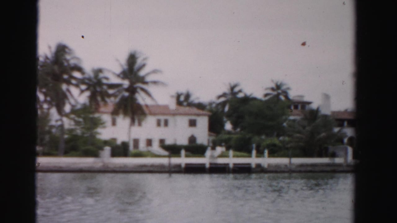 Waterfront houses, palm trees, white dock rails, and rippled water.