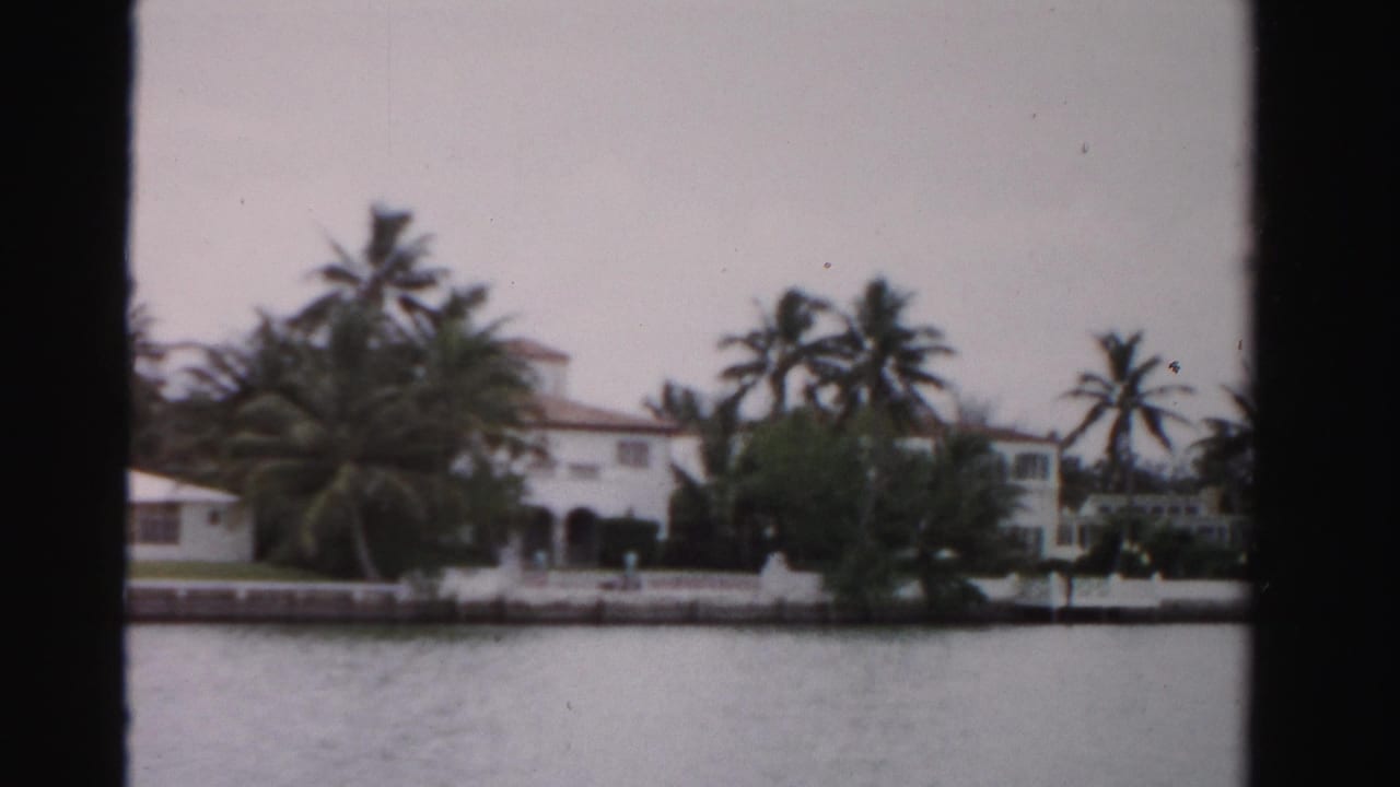 Large waterfront house behind palms with a seawall and water in front.