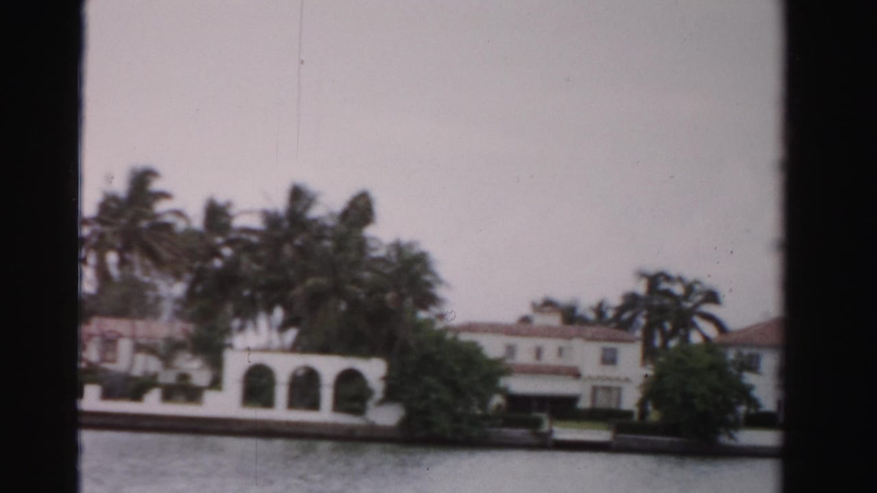 Waterfront homes with arches, palm trees, seawall, and calm water under an overcast sky.