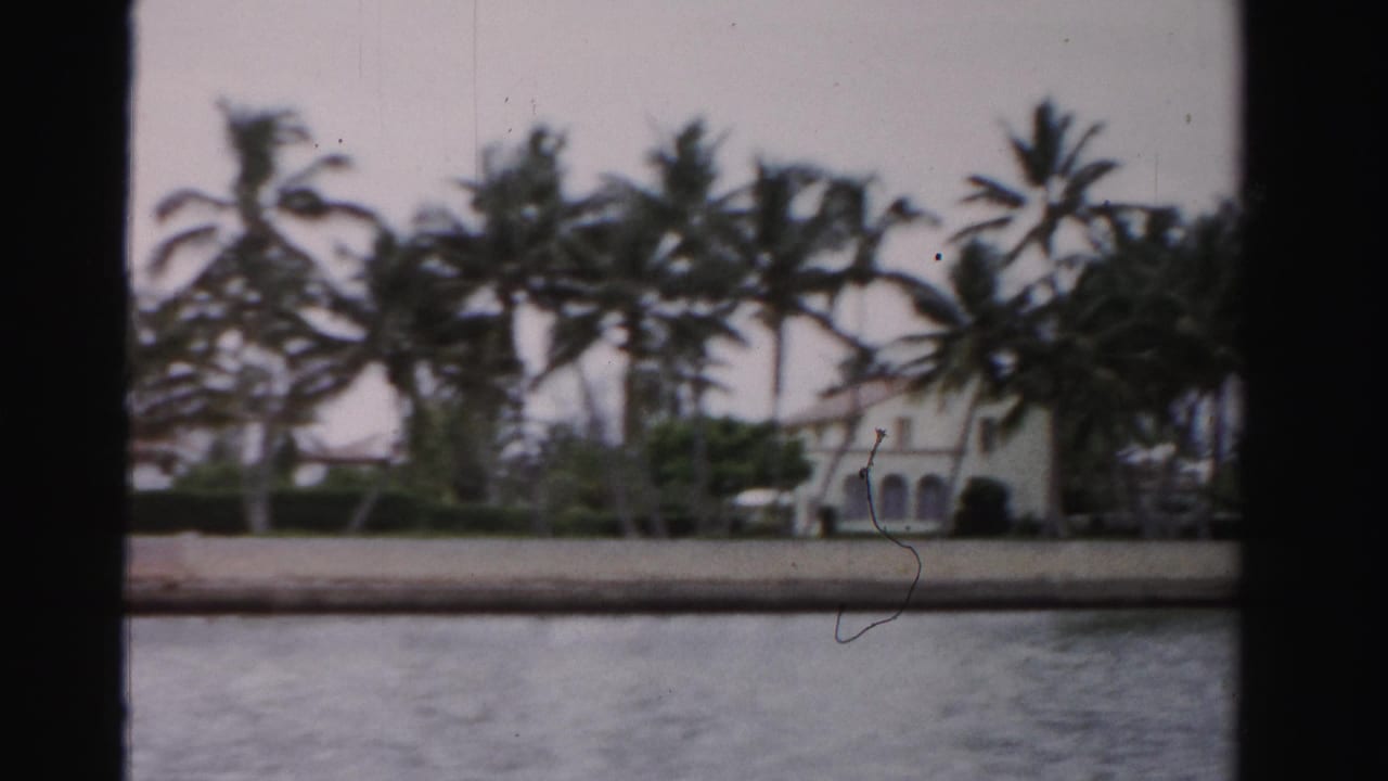 Palm trees and white waterfront buildings seen across calm water.