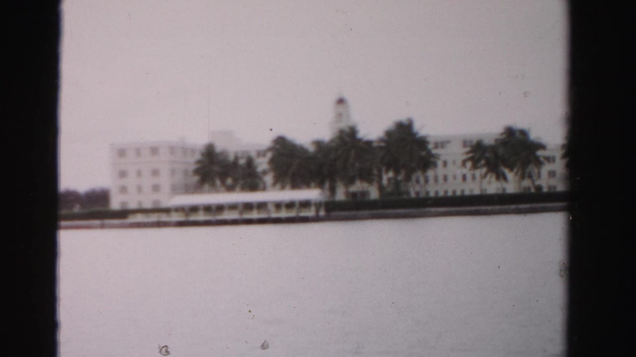 White waterfront building behind palms across calm water.