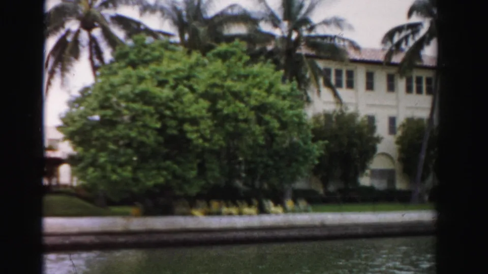 1955 Dade County frame showing a large green tree, palms, a pale multi-story building, low canal wall, flowers, and water in the foreground.
