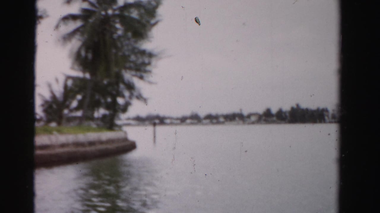 1955 Dade County, Florida home-movie frame showing palm trees, a canal or river edge, and a hazy shoreline across still water.