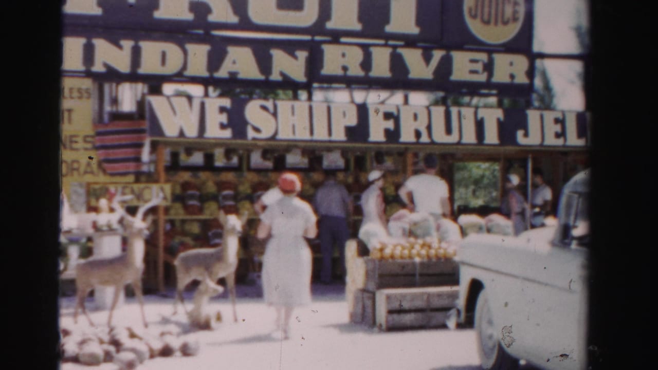 1955 Dade County, Florida home-movie frame showing an Indian River fruit stand with shoppers, two deer, produce crates, and a white car.