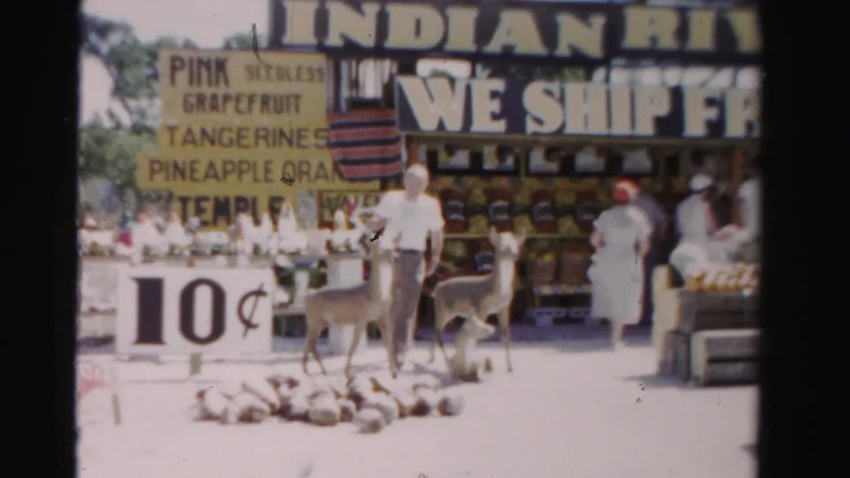 1955 Dade County roadside market frame showing a 10-cent produce sign, deer near the foreground, shoppers, and Indian River fruit signage.