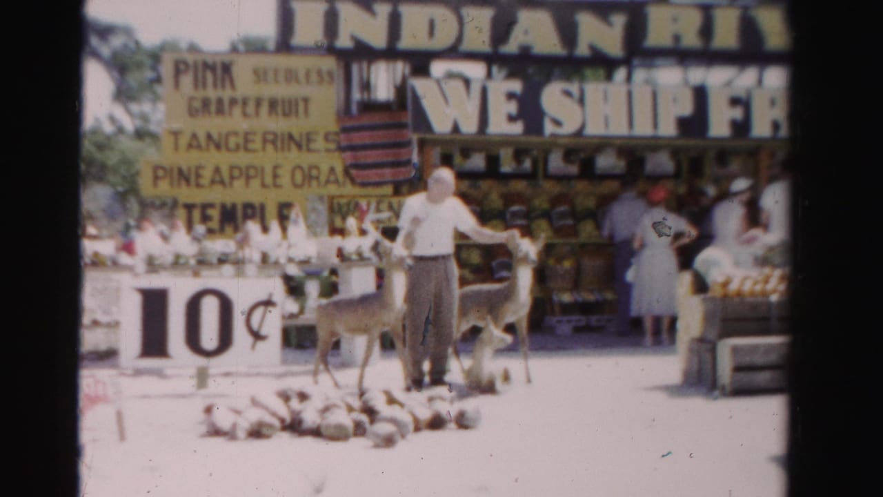 In 1955 Dade County, Florida, a man in a white shirt stands near two small deer outside a fruit stand with 10-cent produce signage.