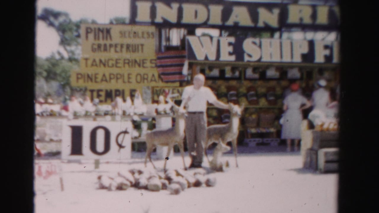Man reaches toward a small deer beside a 10-cent sign at an outdoor fruit stand.